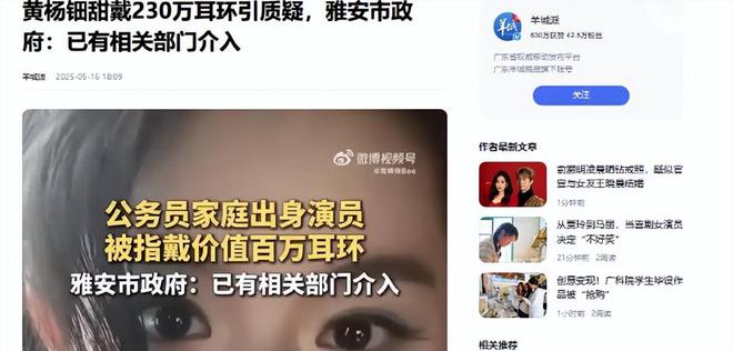 下场黄杨钿甜父亲被正式立案调查冰球突破天价耳环风波不断亲自(图3)
