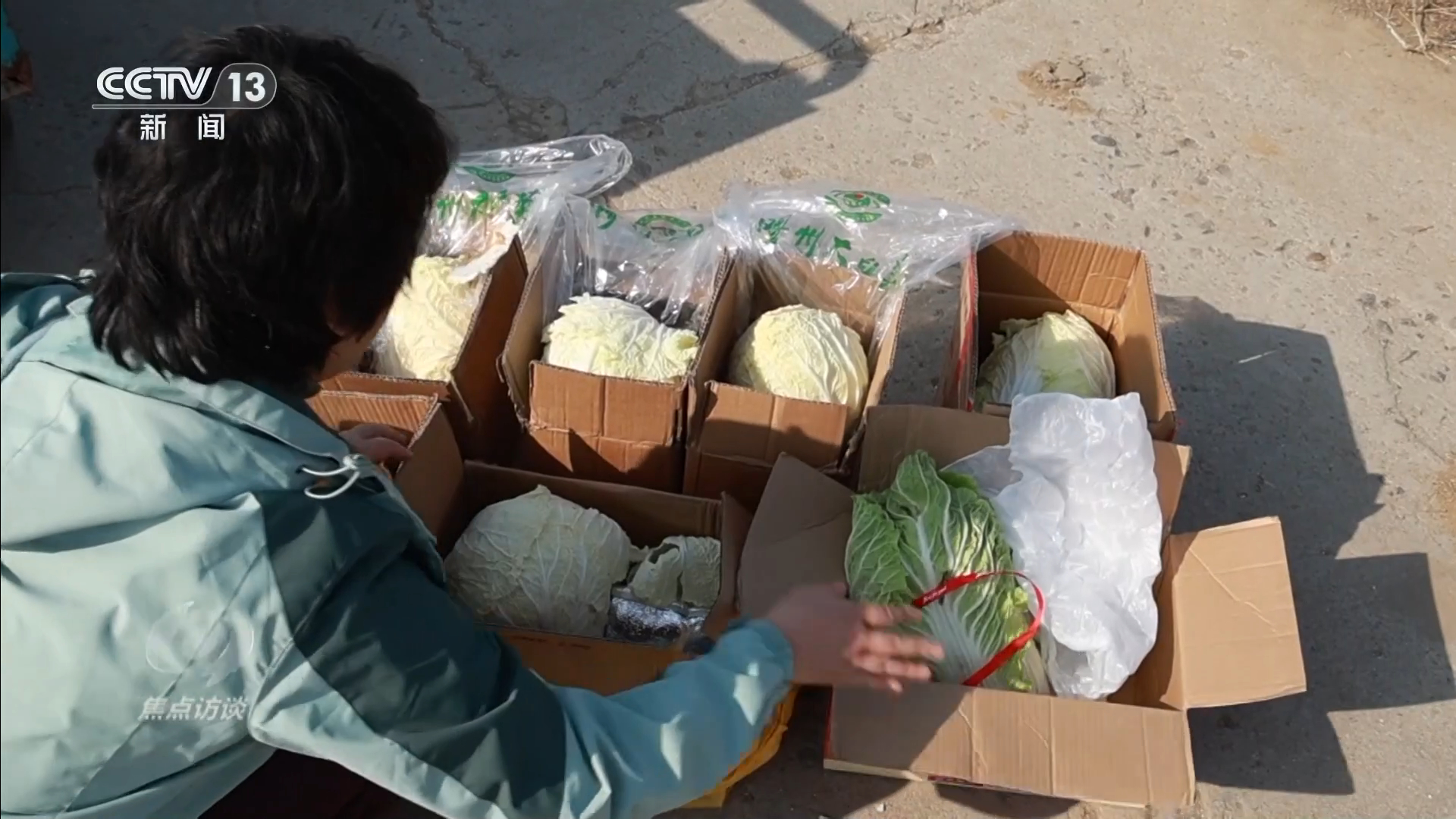 白菜”看地理标志保护这些坑千万别踩！冰球突破正规网站焦点访谈 从“胶州大(图6)