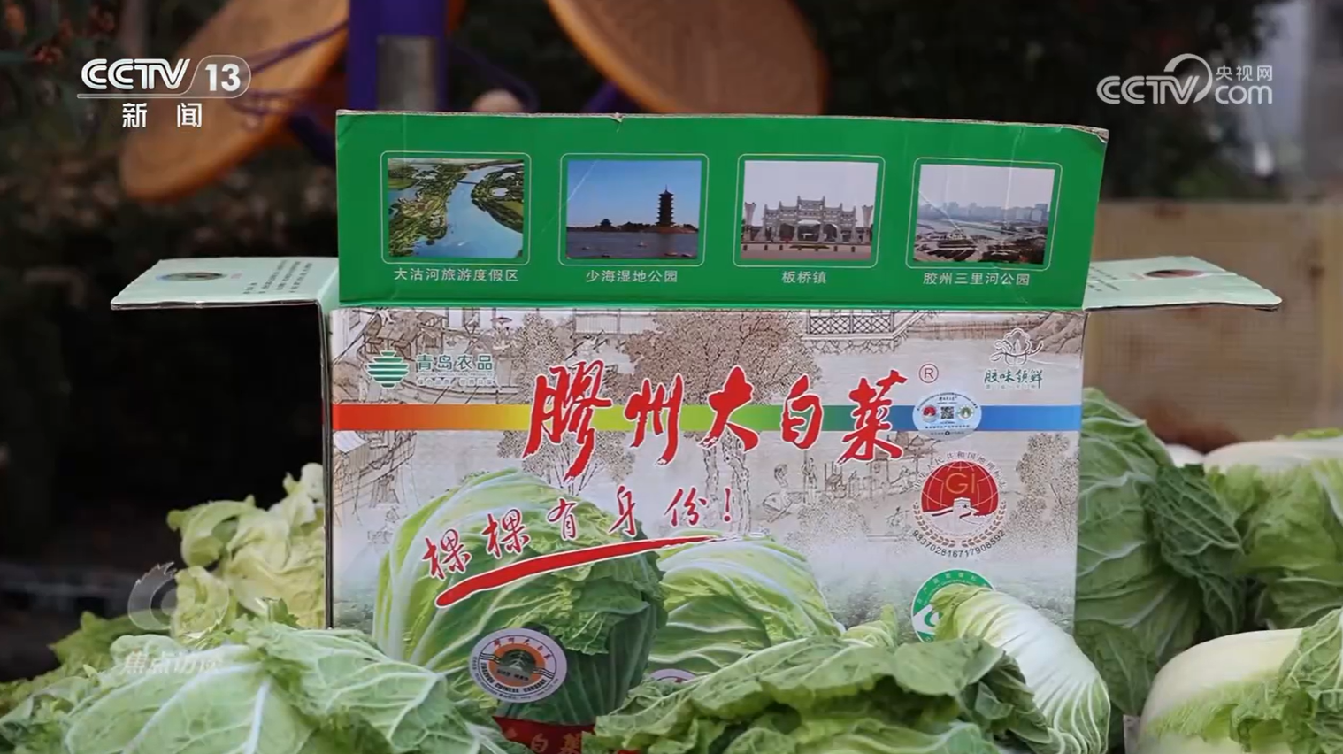 白菜”看地理标志保护这些坑千万别踩！冰球突破正规网站焦点访谈 从“胶州大(图5)